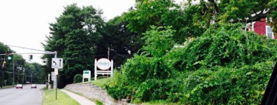 Sweet Claude's Ice Cream餐厅图片