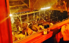 Ferme de la Charbonnierre餐厅图片
