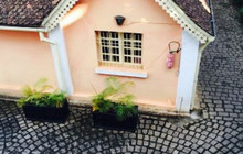Tsara Guest House Restaurant餐厅图片
