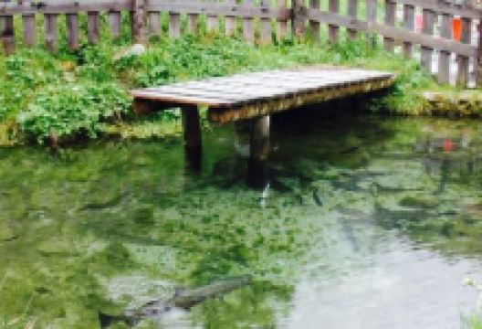 Auberge Nemoz美食图片