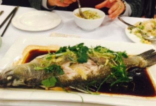 Yum Cha美食图片