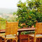 The Hangout