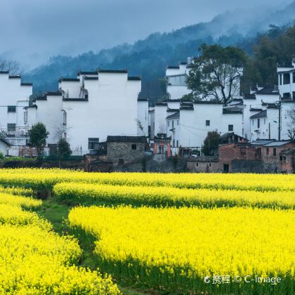 黄山风景区+婺源4日自由行