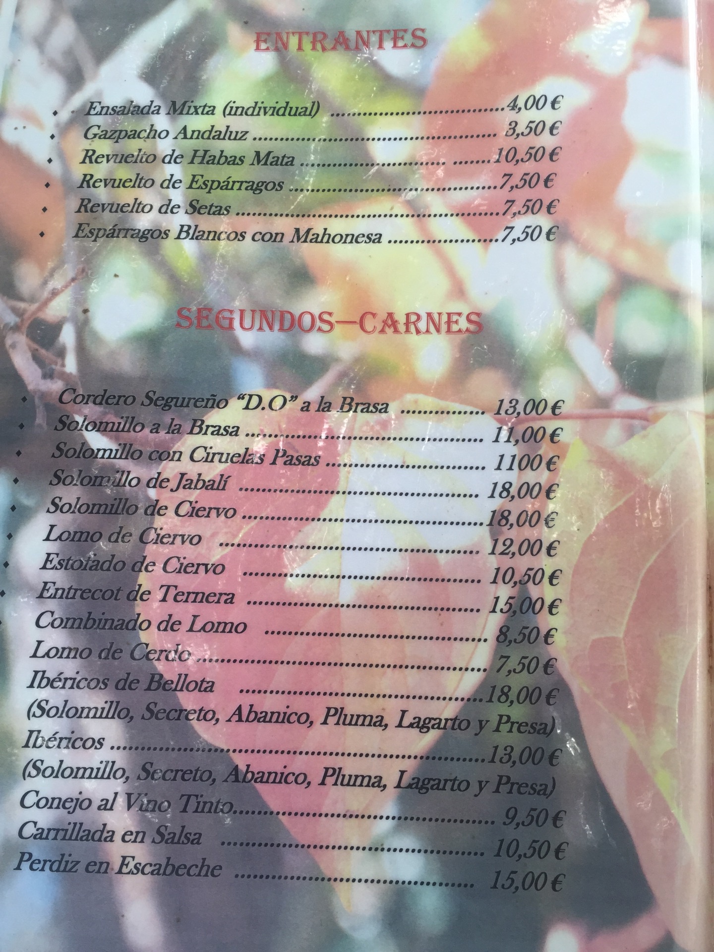 Restaurante Acacia餐厅图片