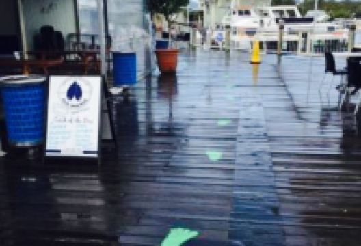 Noosa Harbour Fish Market美食图片