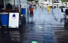 Noosa Harbour Fish Market餐厅图片
