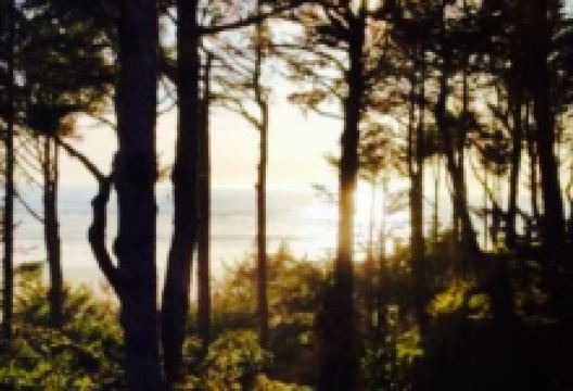 Ocean Crest Dining美食图片