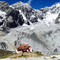 Rifugio del Coston