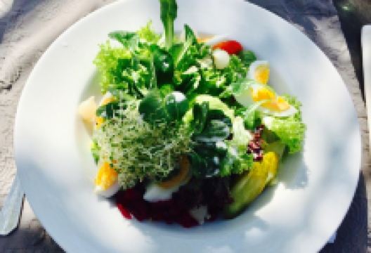 Restaurant Seegarten美食图片