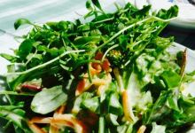 Brauereigasthof St. Afra im Felde美食图片