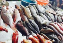 Ikan Bakar Terminal美食图片