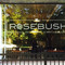 The Rosebush