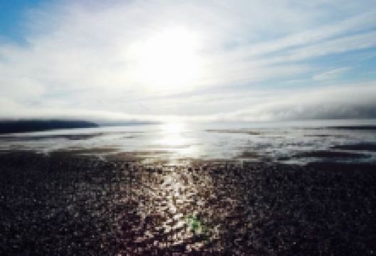 Tidal Watch Inn美食图片