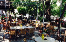 Karydia The Walnut Tree餐厅图片