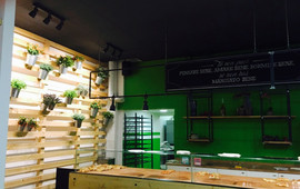 Pizzeria Claudio