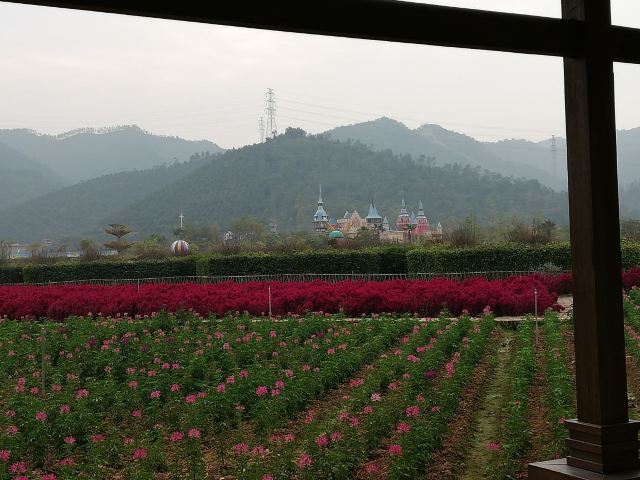 Midea Egret Lake Alice Garden