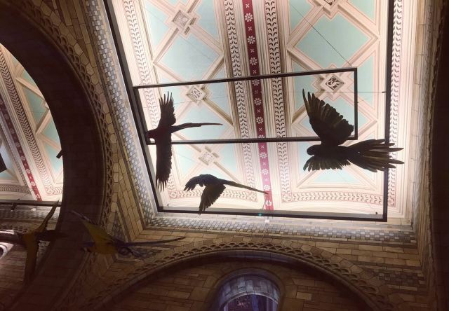 Natural History Museum
