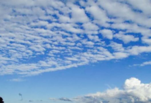 Caffe Bar Mareta美食图片