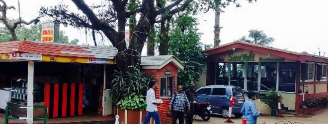 Saayali Restaurant餐厅图片