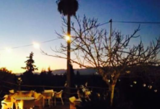 Es Molico美食图片