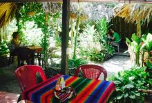 Restaurant Idea Connection美食图片