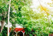 Hacienda Yunku美食图片