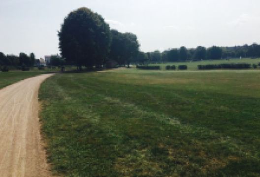 Golf Ermitage美食图片