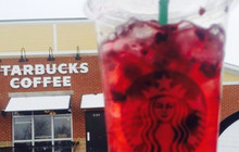 Starbucks餐厅图片