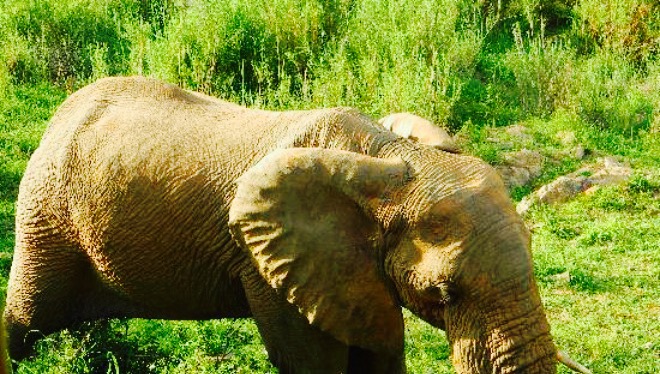 The Deck餐厅图片