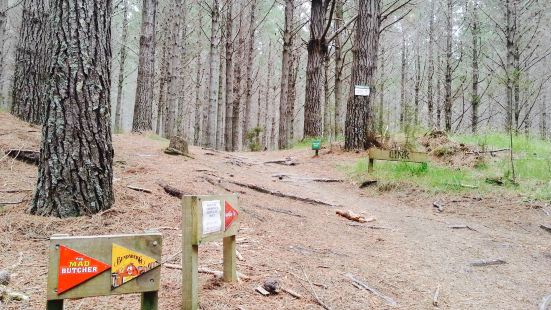 Woodhill Mountain Bike Park