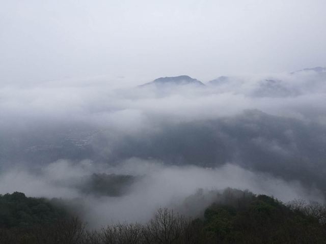 Hangzhou Lingyin Temple and Feilai Peak Scenic Spot