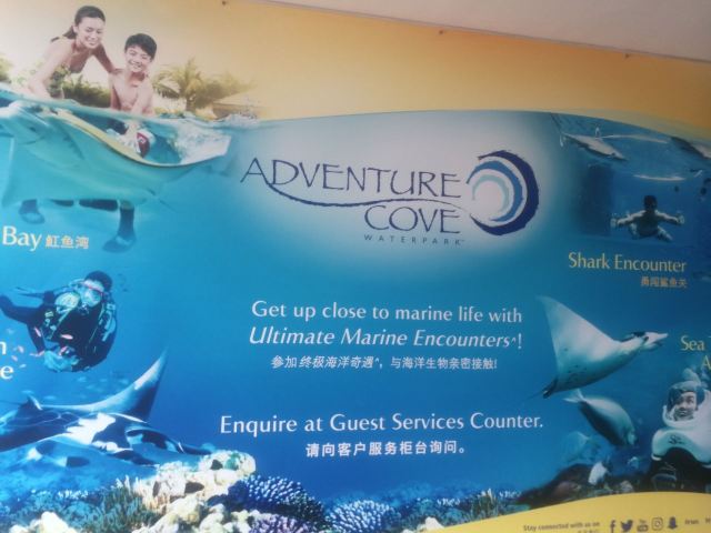 Adventure Cove Waterpark