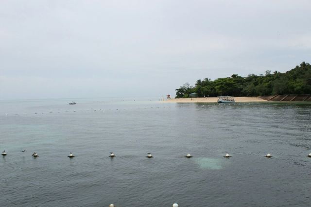 Green Island
