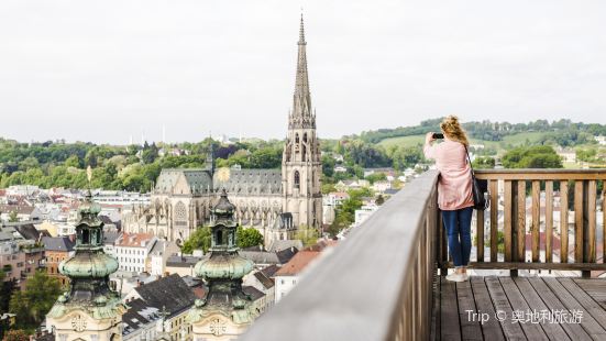 Botanischer Garten Travel Guidebook Must Visit Attractions In