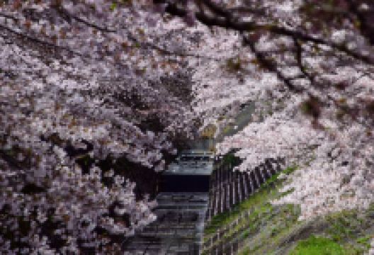 乞田川景点图片
