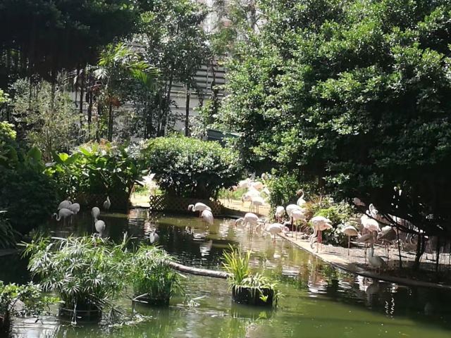 Kowloon Park
