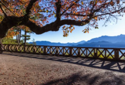 祝山观日平台景点图片