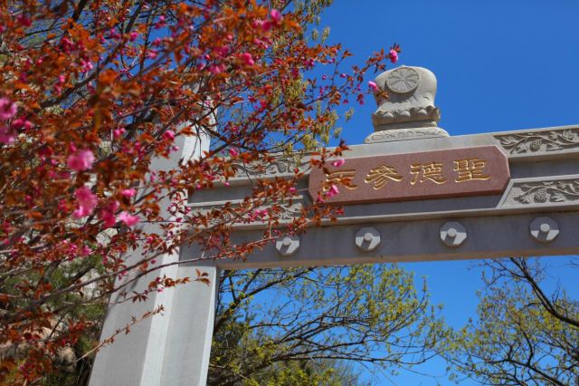 츠산 관광단지
