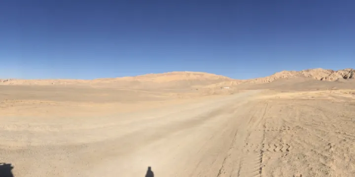 民和回族土族自治縣植物園