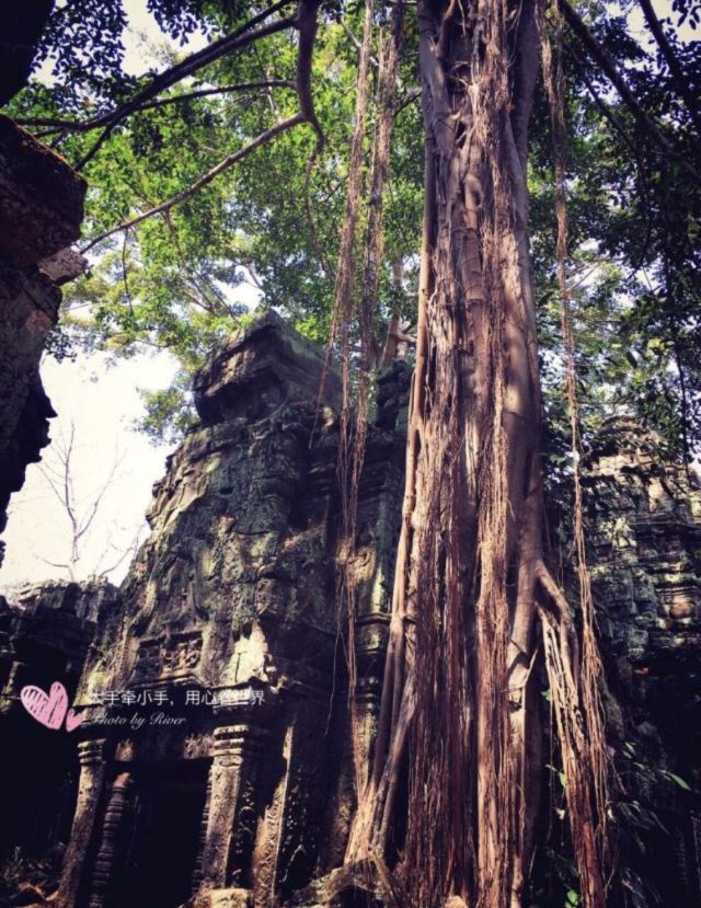 Ta Prohm