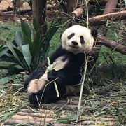图片 1