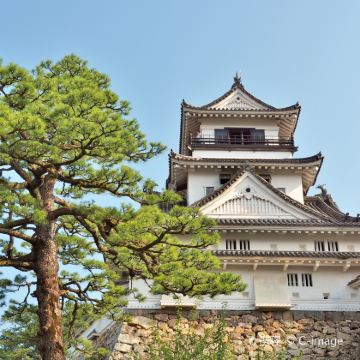 大阪+高知市2日1晚私家团