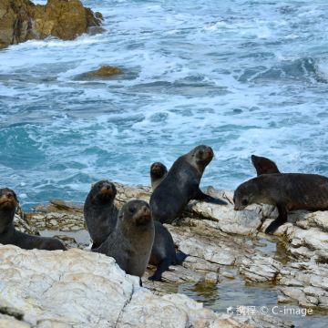 新西兰基督城+皇后镇+特卡波+达尼丁+奥玛鲁7日6晚私家团