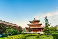 柳湖公园-平凉-doris圈圈