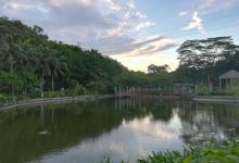 宝安公园景点图片
