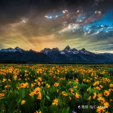 美国盐湖城+两大国家公园5日4晚跟团游