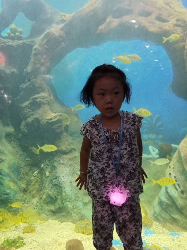 Qujiang Polar Ocean Park