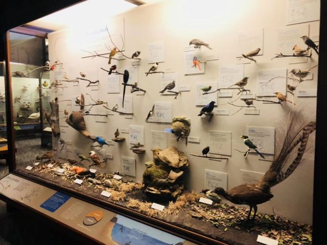 The Field Museum