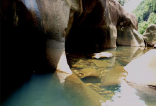 九龙井景点图片
