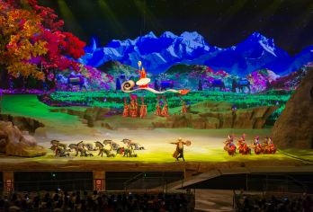 西安《驼铃传奇》秀一日游【可升级好票位/三环内区域接送】【[接送服务]西安市区三环内/大唐不夜城上门接送！】